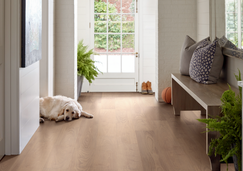 Pet-Friendly Tile Flooring